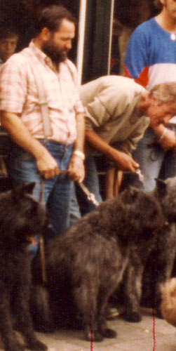 Bouvier FALCO EMETH v CAYA'S HOME